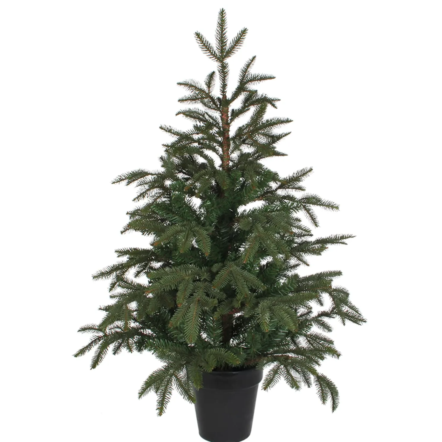 Baum Frasier Fir Grun, 100 Cm