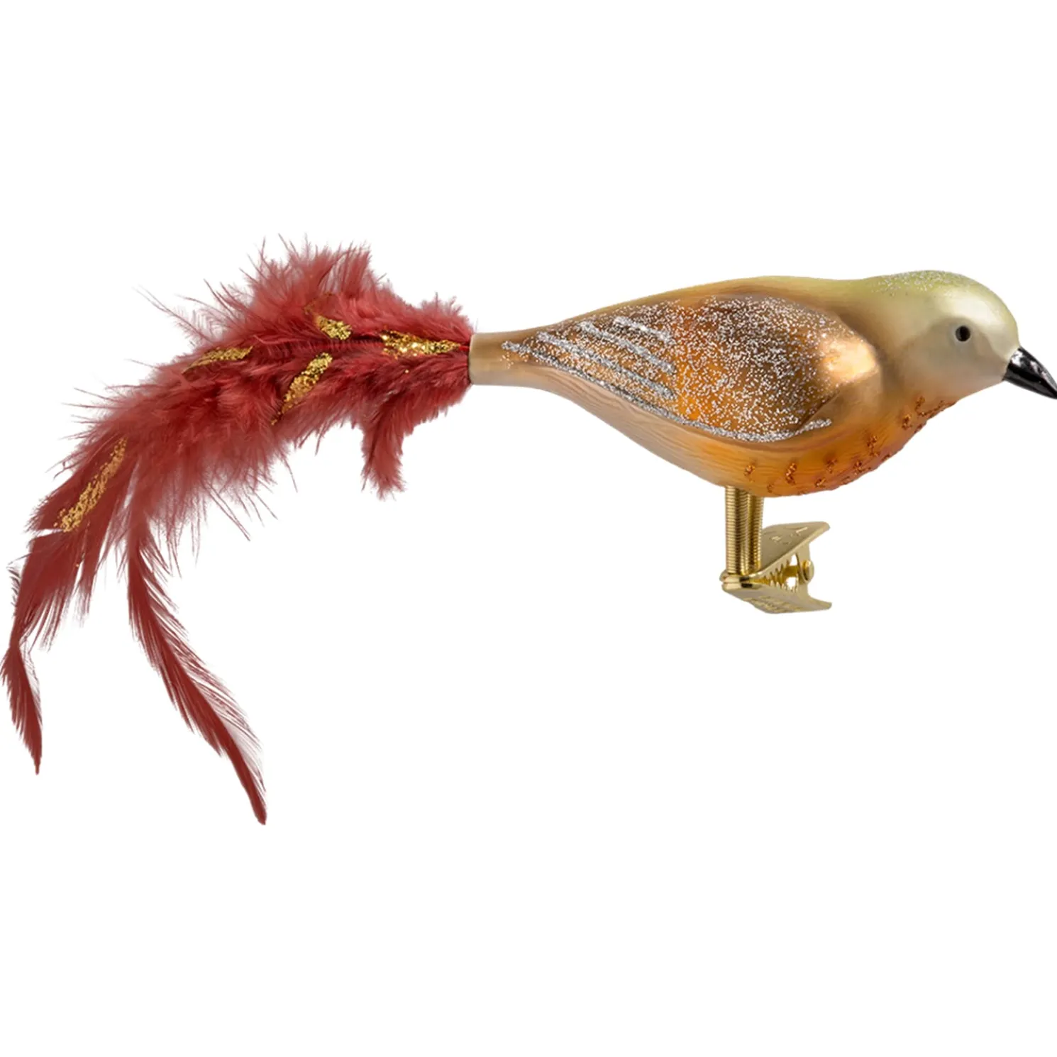 Glasvogel Grun-Braun