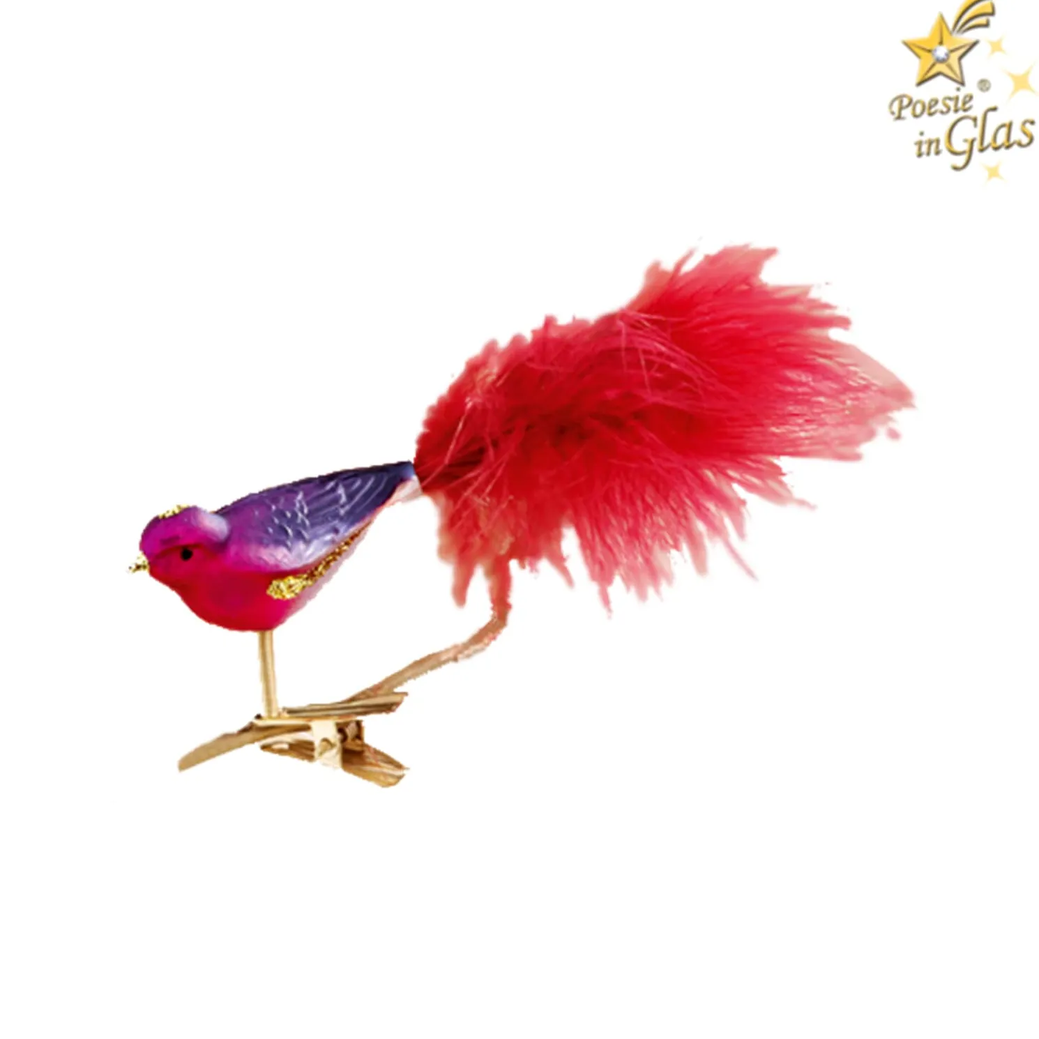 Glasvogel Pink-Lila