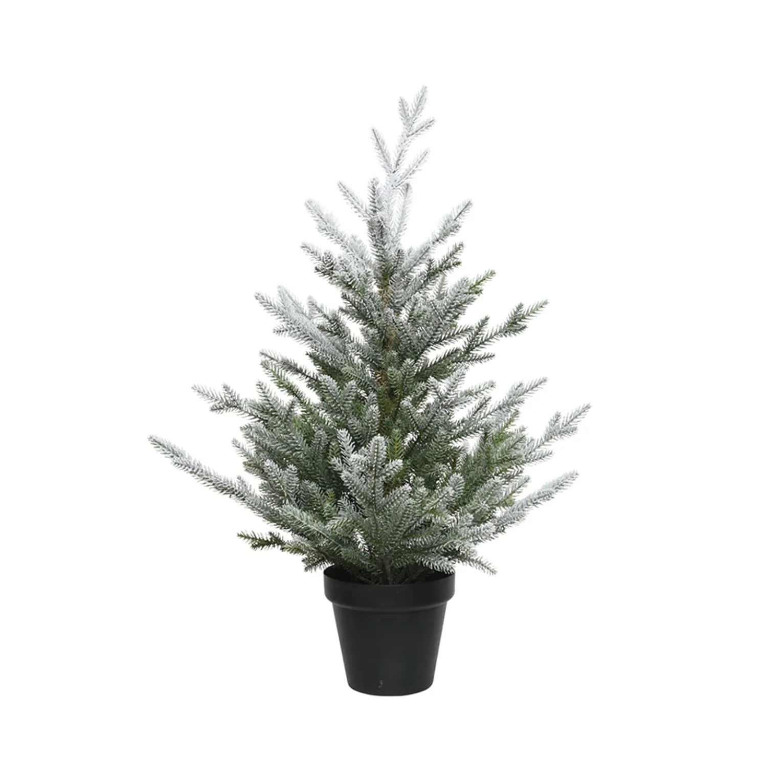 Weihnachtsbaum Im Topf, Beschneit, 75 Cm